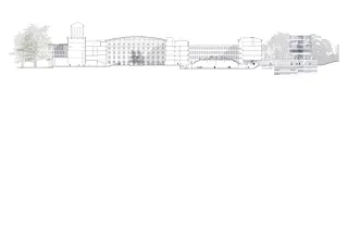 Section longitudinale