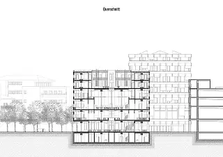 Querschnitt