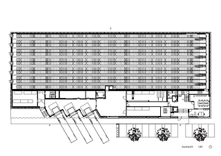 Plan du rez-de-chaussée