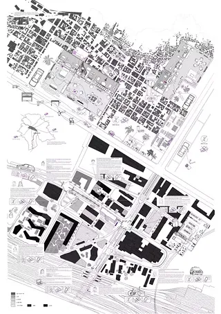 Chair of Architecture & Care, Naomi Schanne