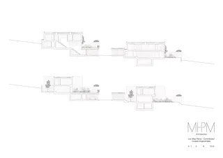 Coupes longitudinales