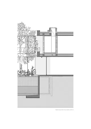 Coupe détail