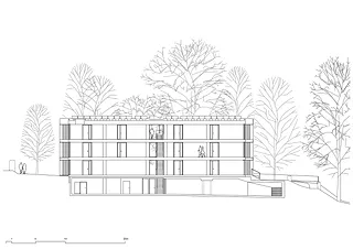 Coupe longitudinale