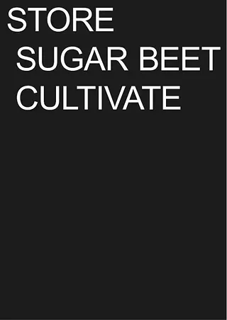 Documentation: Sugar Beet – Project by Antoine Angeard, Frederik Dahkqvist, Gabriel Saez Araya and Alexander Wegener