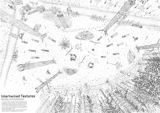 Public Drawing – Standort: Dead Wood Forest