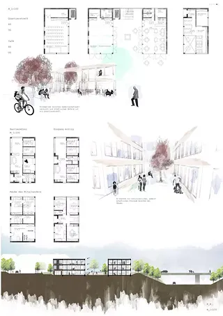 Layout 5