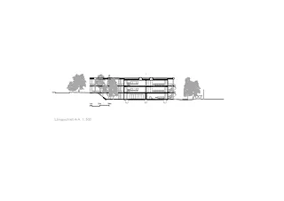 Coupe longitudinale