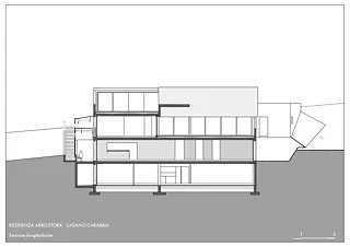 coupe longitudinale