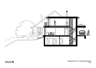 Coupe longitudinale