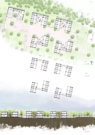 Layout 3