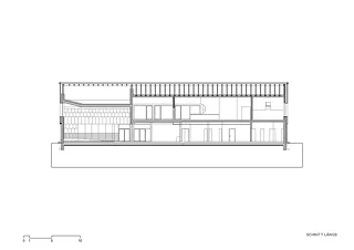 Coupe longitudinale