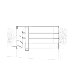 Coupe longitudinale