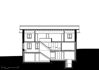 Coupe longitudinale D
