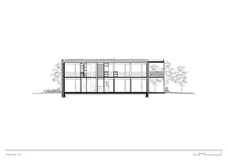 Coupe longitudinale