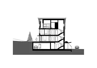 Coupe longitudinale_1-100