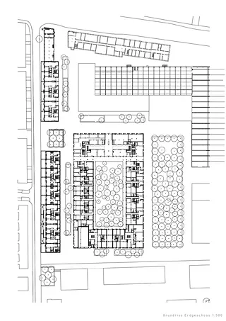 Rez-de-chaussée