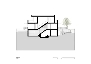 Coupe longitudinale