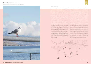 Swiss Arc Mag 2025–6