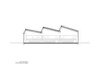 coupe longitudinale