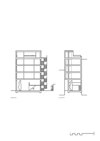 Coupe longitudinale et transversale