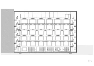 Coupe longitudinale