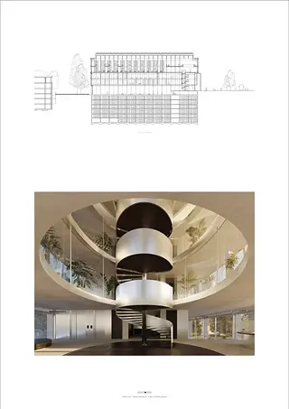 Coupe longitudinale