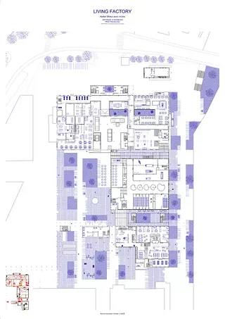 Rez-de-chaussée