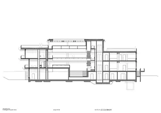 Coupe longitudinale