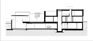 Coupe longitudinale