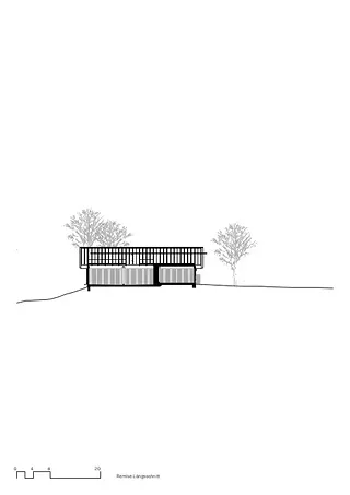 Coupe longitudinale