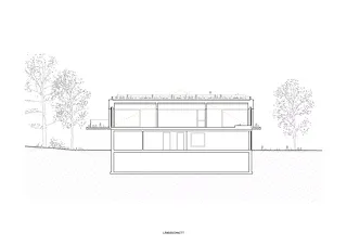 Coupe longitudinale
