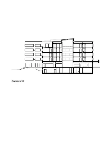 Querschnitt