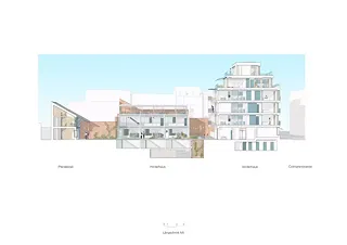Coupe longitudinale AA coloré