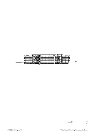 Coupe longitudinale