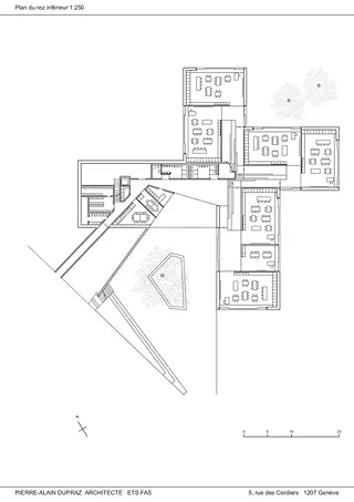 Rez inférieur