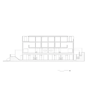 Coupe longitudinale