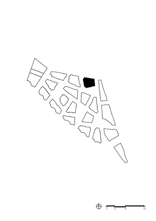 Schwarzplan