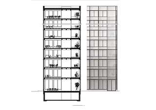 Coupe détail & façade tour de bureaux
