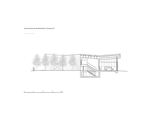 Coupe transversale 200