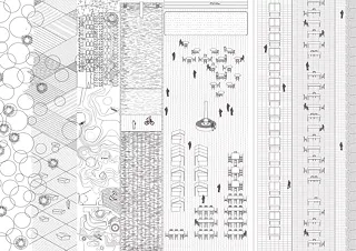 collage concept plan