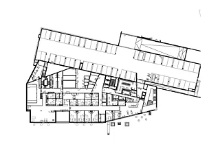 Rez inférieur