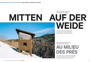 Haus auf Stelzen, Treyvaux FR