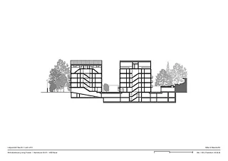 Coupe longitudinale loft
