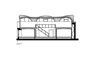 Coupe longitudinale