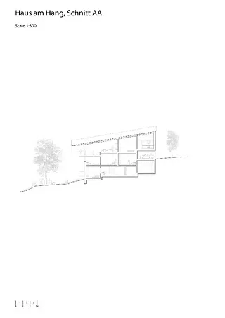 Coupe longitudinale