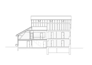 Coupe longitudinale
