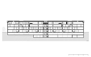 Coupe longitudinale C