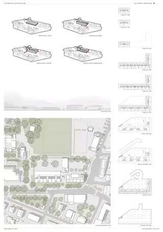 Morphologie