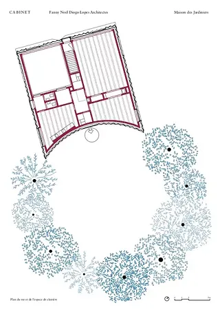 Plan clairière