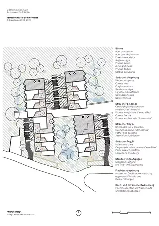 Environnement / Concept de plantation
